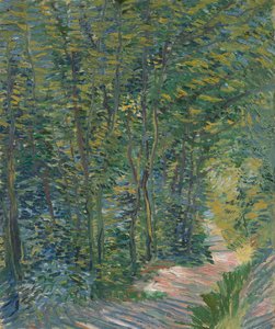 Sentier dans les bois